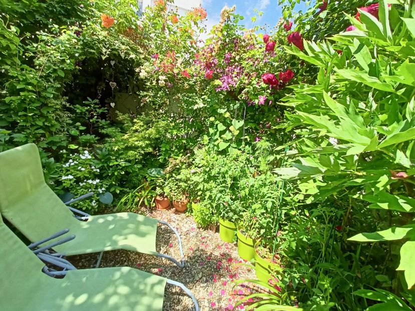  - Grădina 2024 continuare 3