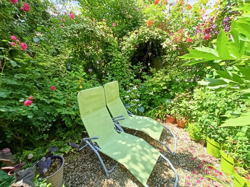  - Grădina 2024 continuare 3