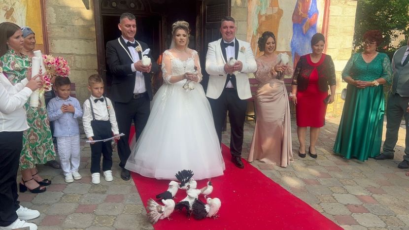 6ffbdc5f-c82f-4082-8680-067e3562527a - PORUMBEI DE ÎNCHIRIAT PENTRU EVENIMENTE