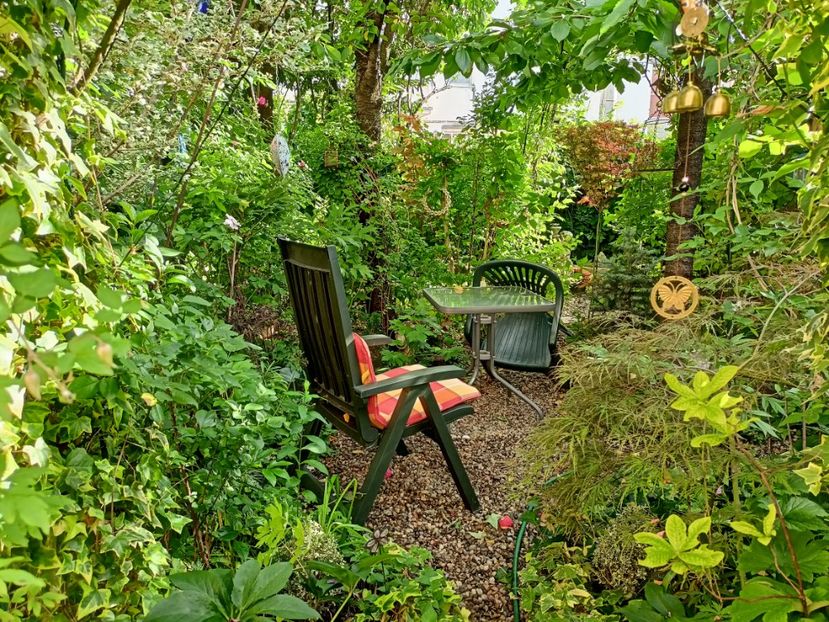  - Grădina 2024 continuare 3