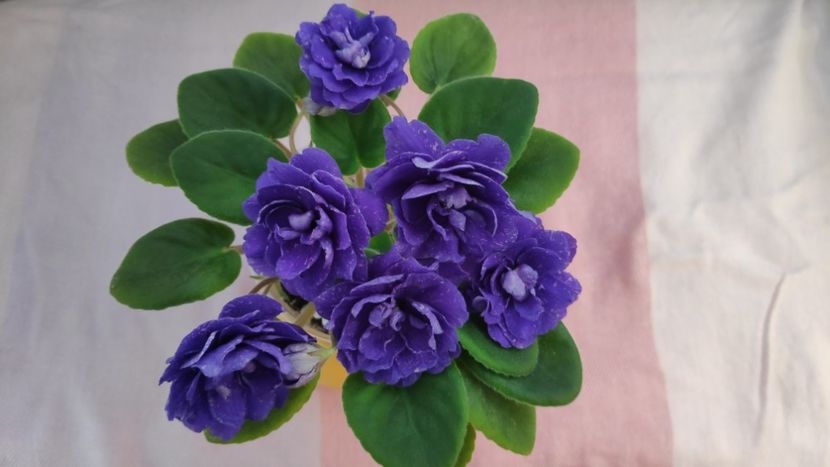 17 mai - DN November Rain