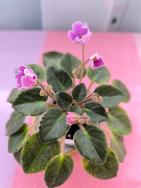 2 mar - N Sa Liubovj!!