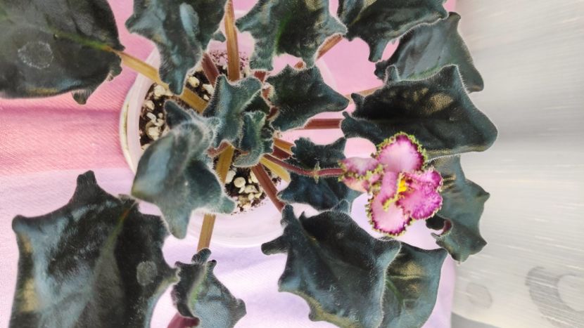 23 mar - Sunset Beach