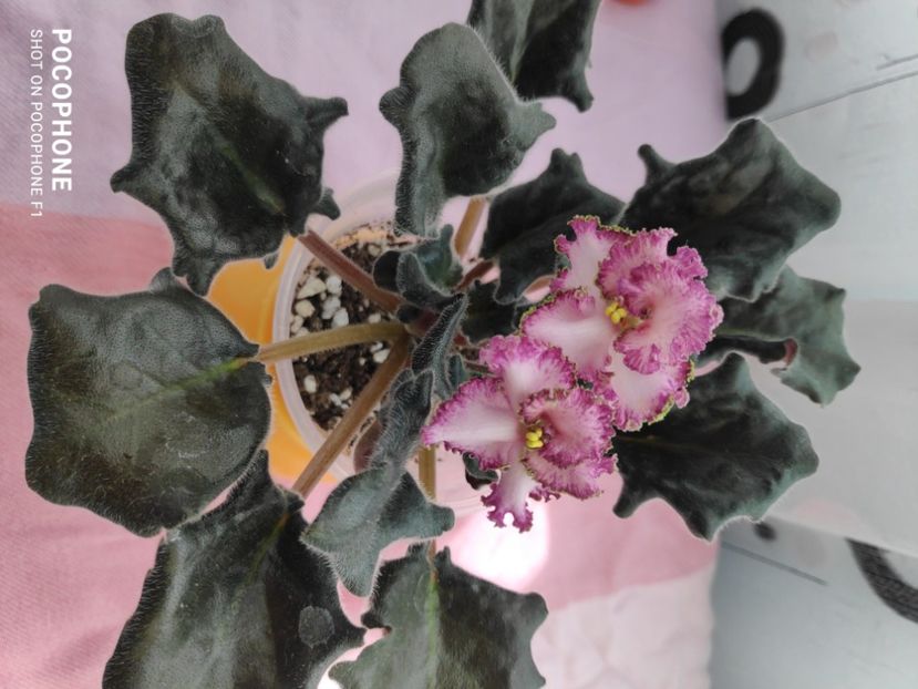 16 apr - Sunset Beach