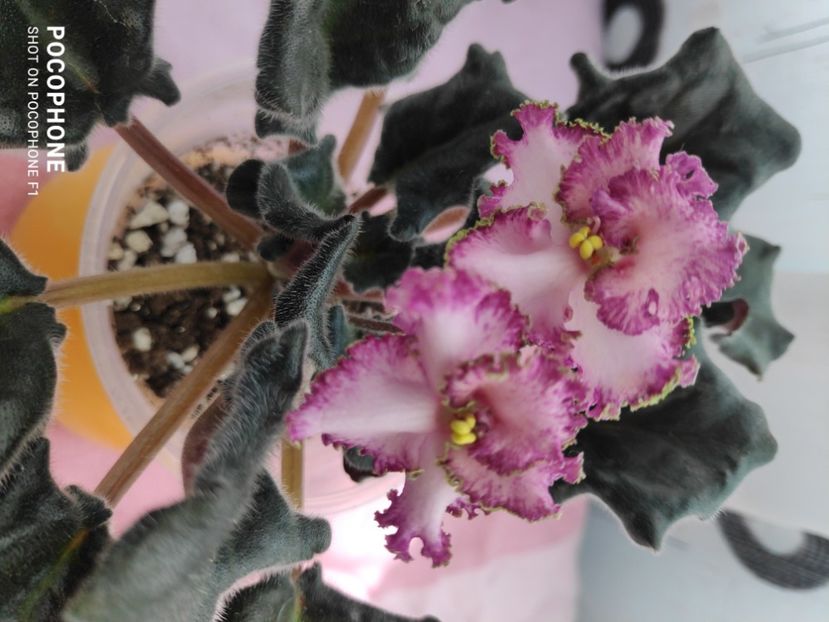 16 apr - Sunset Beach