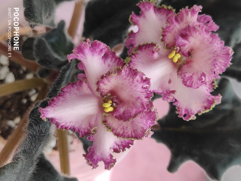 16 apr - Sunset Beach