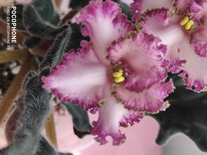 16 apr - Sunset Beach