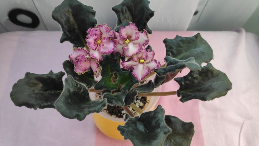 17 mai - Sunset Beach