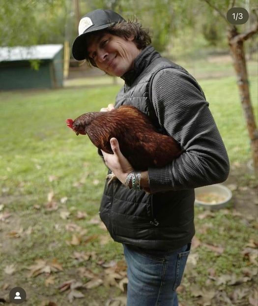 Ți le prezint pe Tanța și Geta, noile noastre animale de companie. Asta e Tanța, Geta nu prea sta la - episodul 82