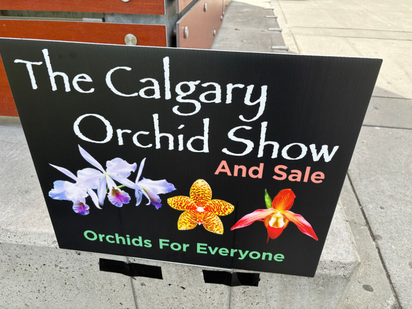  - Calgary Orchid Show 2024