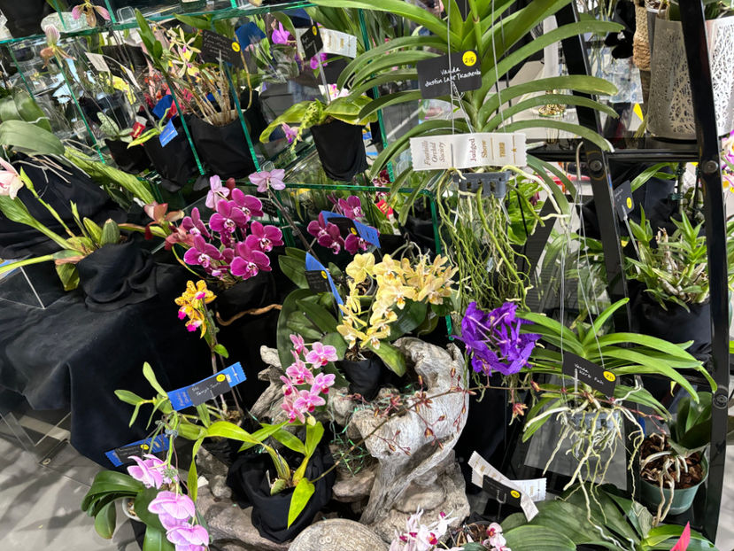  - Calgary Orchid Show 2024