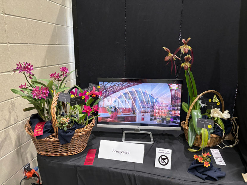  - Calgary Orchid Show 2024