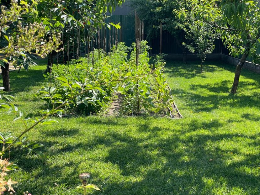  - 001 Gradina de legume 2023-2024-2025