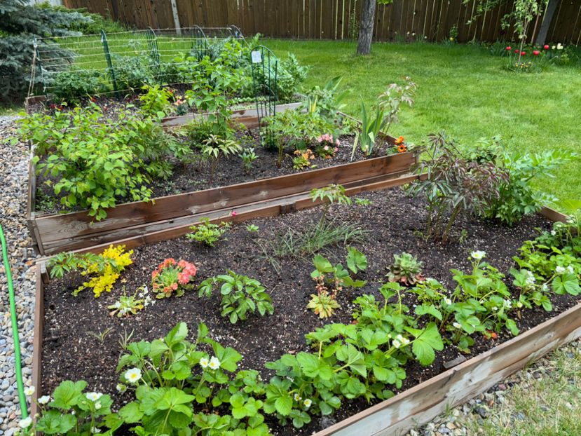  - Jurnalul gradinii 2024