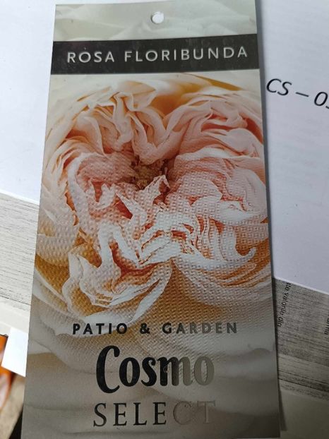 Cosmo-1 - COSMO SELECT