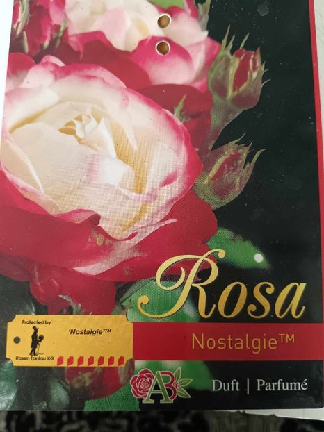 Nostalgie -2 - NOSTALGIE