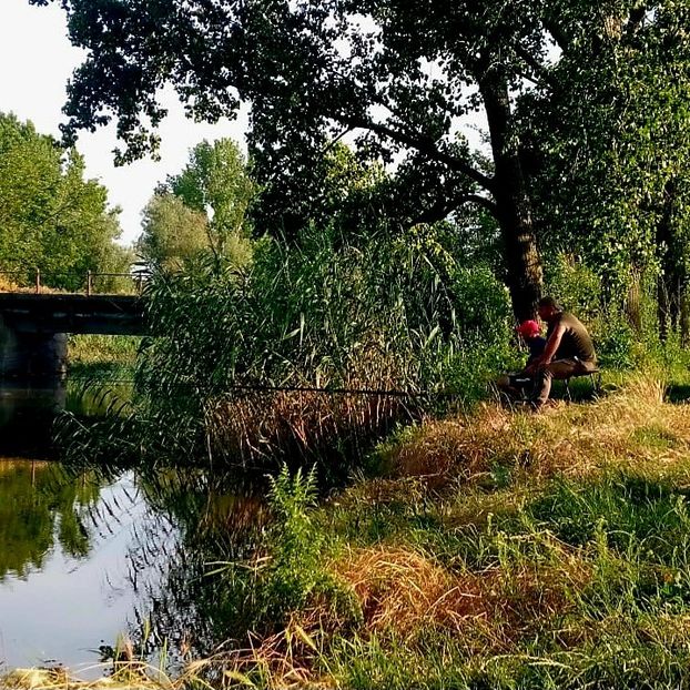  - EU SI PRIETENII MEI