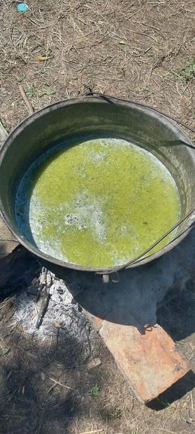 - Acreala din corcoduse pentru ciorbe - chisalita