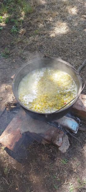  - Acreala din corcoduse pentru ciorbe - chisalita