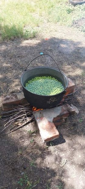  - Acreala din corcoduse pentru ciorbe - chisalita