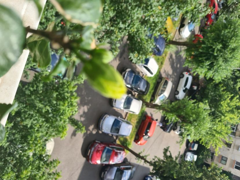  - Hibiscusi mai și iunie 2024