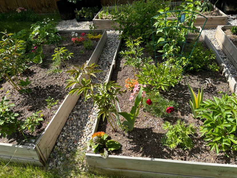  - Jurnalul gradinii 2024