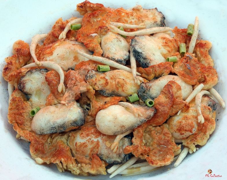 Ottawa-Chinatown Street Food 9 - OTTAWA -- ChinaTown