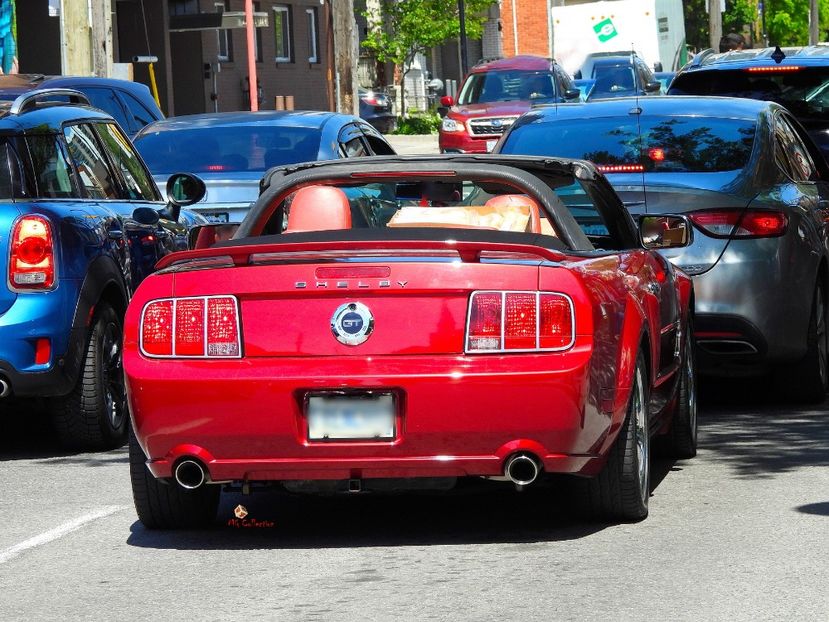 Ottawa - FORD Shelby - D - CARS - BIKES - BOATS