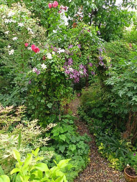 09.06.2024 - Grădina 2024 continuare 3