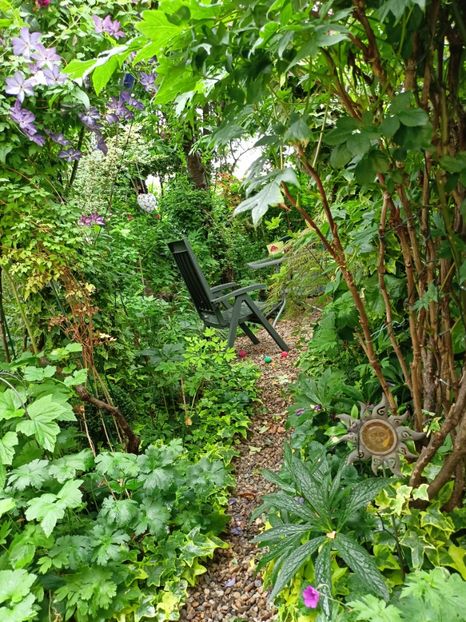  - Grădina 2024 continuare 3