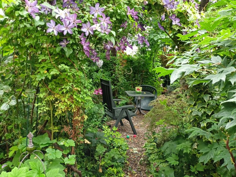  - Grădina 2024 continuare 3