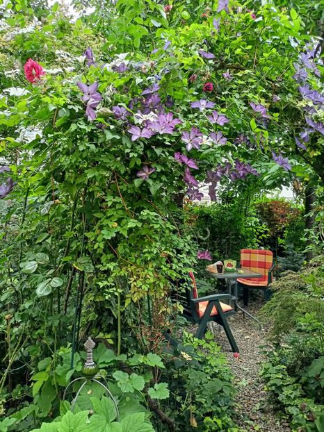  - Grădina 2024 continuare 3