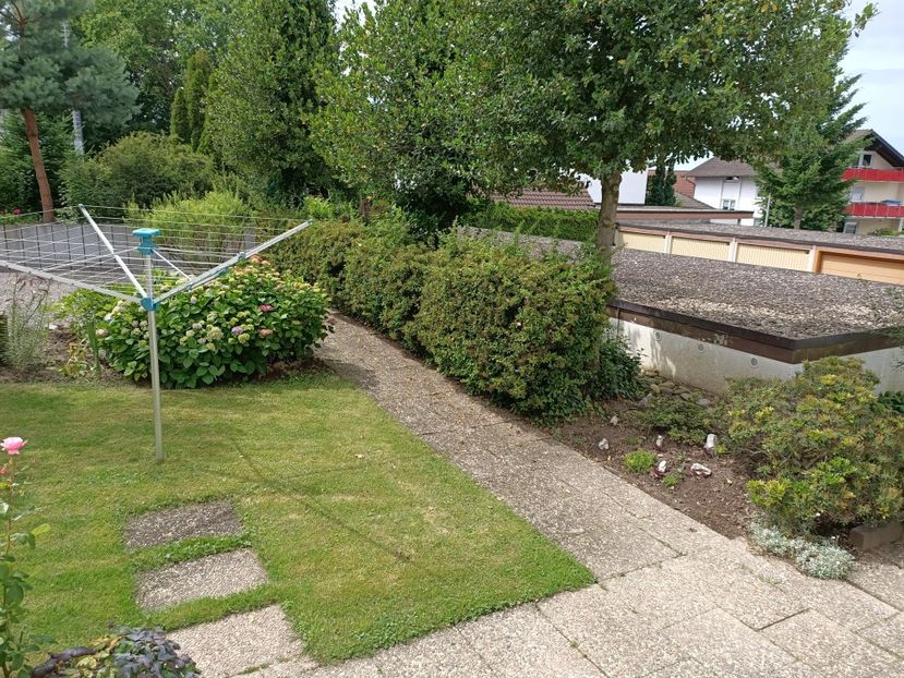 Img.2024.06.09 - Grădina mea