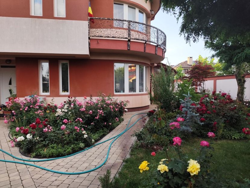  - Grădină vara 2024