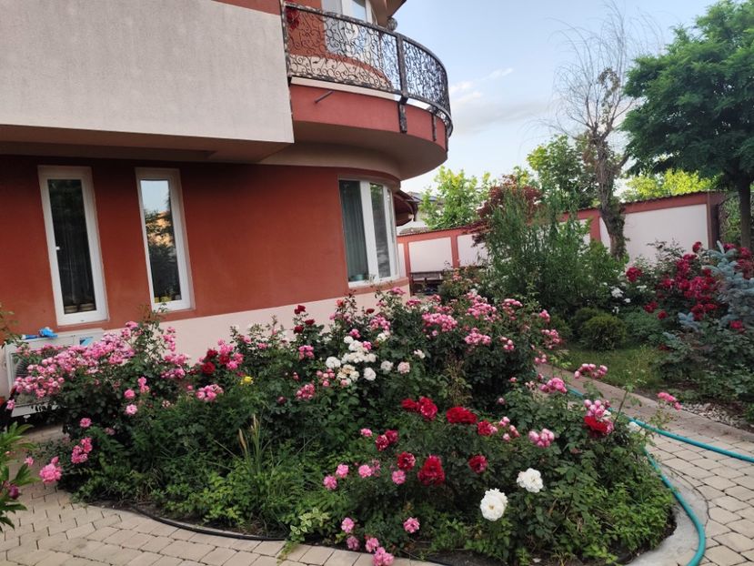  - Grădină vara 2024