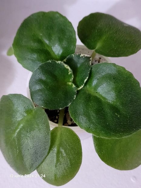 LE Art de Vie 15 rez - 0 0 0 a disponibil iunie 2024