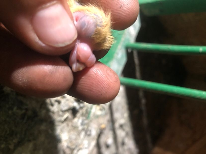 26DDA406-95BE-42B4-85C5-6974F9BBA2D8 - Tineret 2024