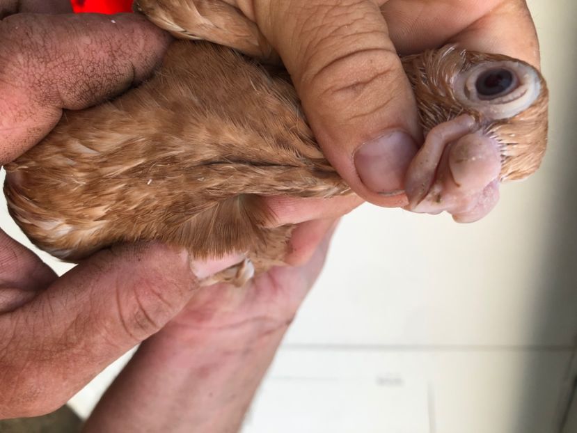 64E10694-5C40-45CB-AFF2-B22A9C49116F - Tineret 2024