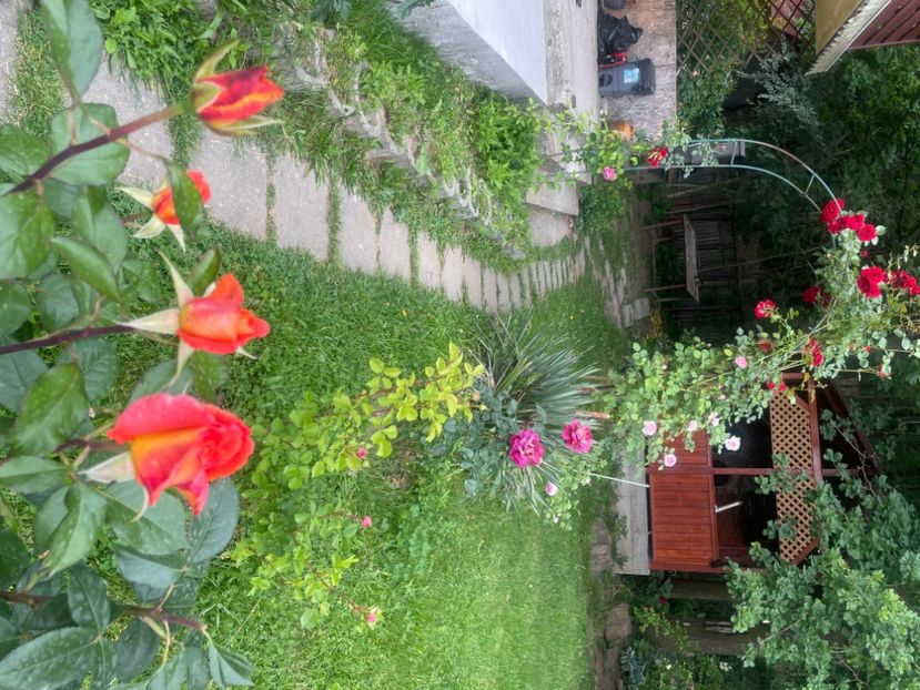  - Gradina 2024
