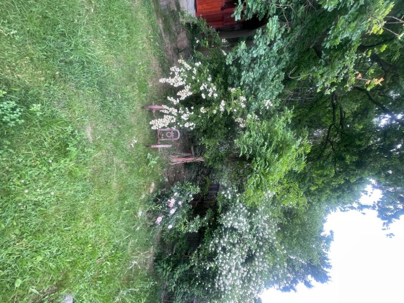  - Gradina 2024