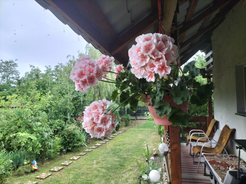 IMG20240603182808 - Muscate