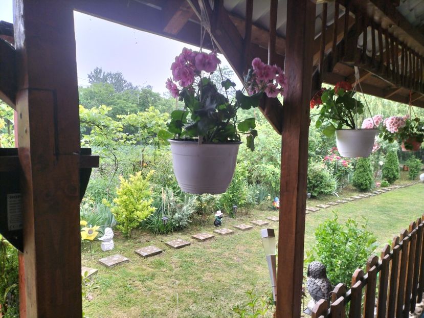 IMG20240603182656 - Muscate