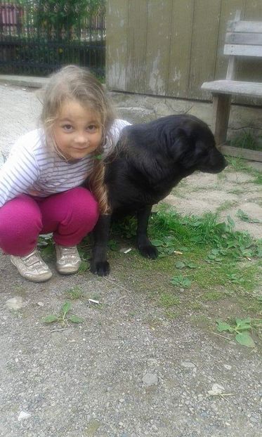 Alisia cu Laica - acvariu