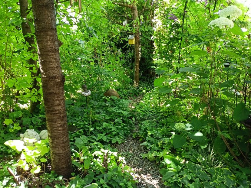 15.06.2024 - Grădina 2024 continuare 3