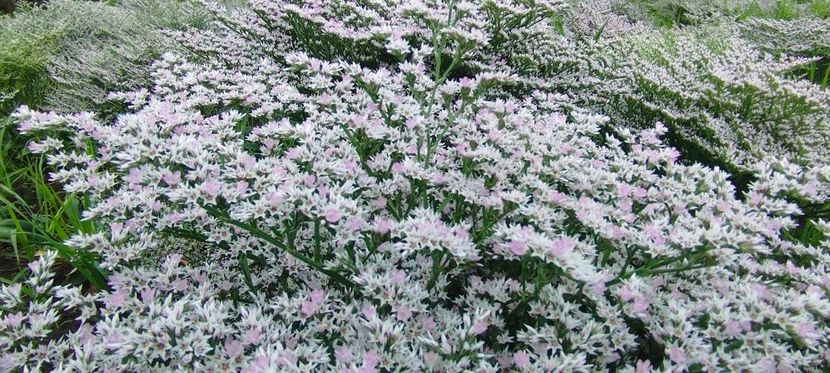  - Statică Tatar 2024