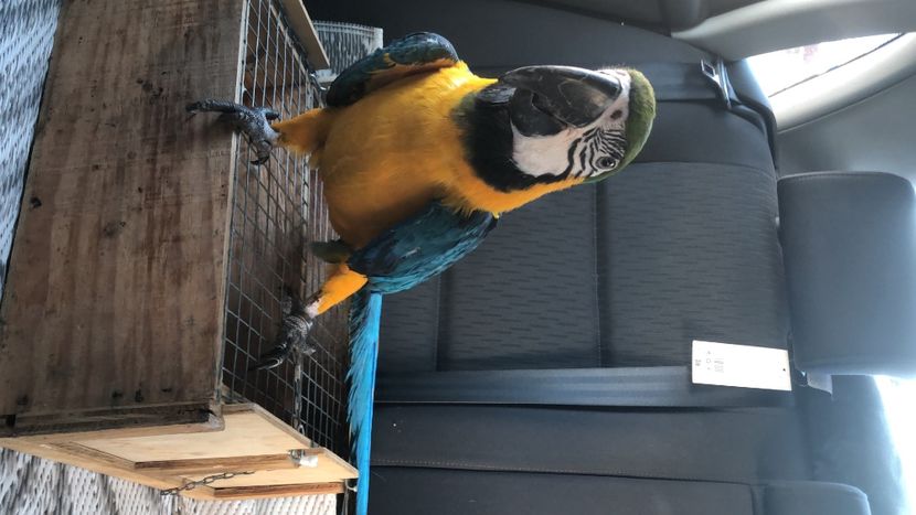 A66CADCB-CA58-4D1E-99F2-EA54BD51C1B8 - Zeus