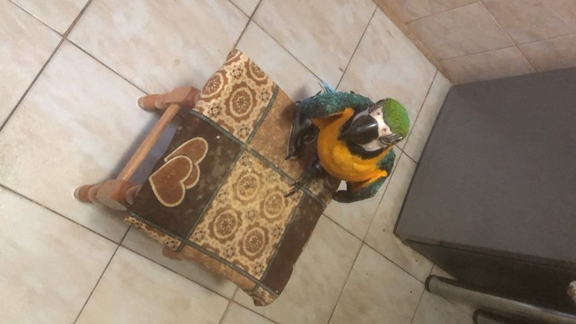 B7605D03-9287-458A-A864-6A2C9838AA94 - Zeus