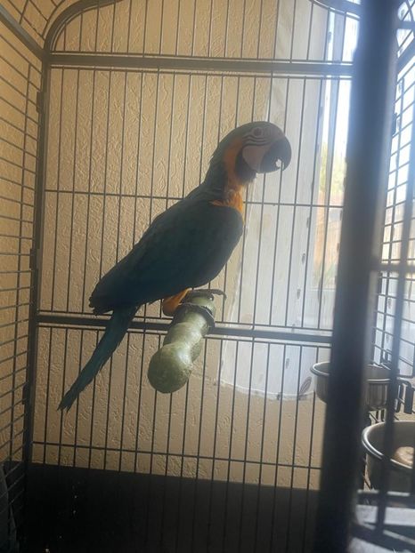 fdd60806-345b-4d59-80c7-fc123f68020b - Zeus