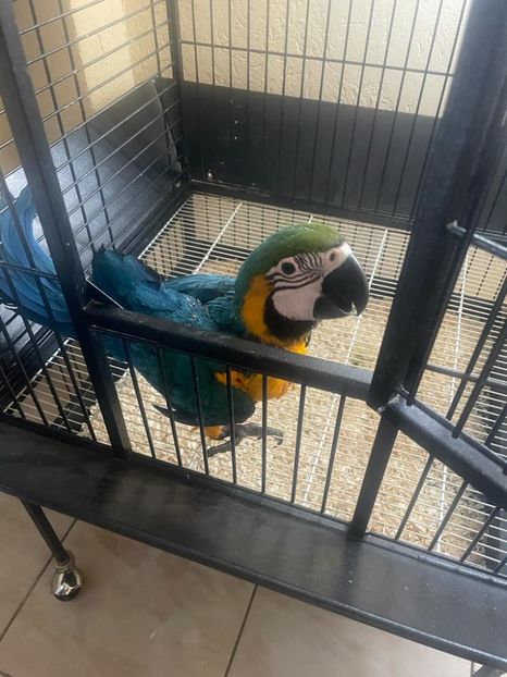 e59ab2ea-1336-4e87-8797-d5291958cf7c - Zeus