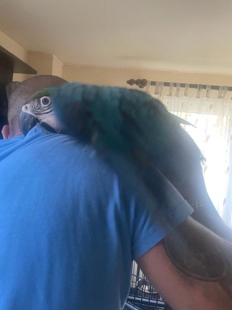 3c56b4e0-447a-4350-9f1c-033b34524bbd - Zeus